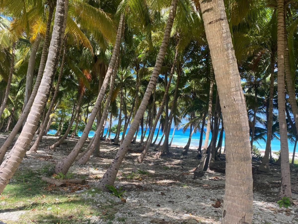 Beachfront Apartment, Quiet 4 Beds, 1 Bath, Ac, Wi-Fi, Hot Water, In Paraiso Near Los Patos Екстер'єр фото